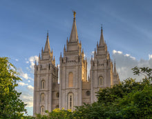 Load image into Gallery viewer, Salt Lake City Utah Temple In His Light
