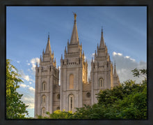 Load image into Gallery viewer, Salt Lake City Utah Temple In His Light Gallery Wrap
