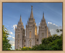 Load image into Gallery viewer, Salt Lake City Utah Temple In His Light Gallery Wrap
