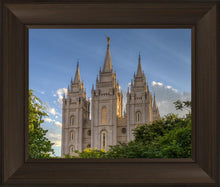 Load image into Gallery viewer, Salt Lake City Utah Temple In His Light
