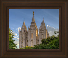Load image into Gallery viewer, Salt Lake City Utah Temple In His Light
