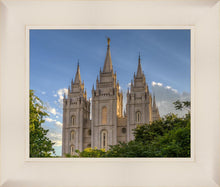 Load image into Gallery viewer, Salt Lake City Utah Temple In His Light
