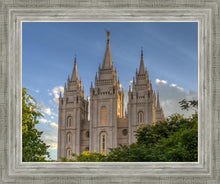 Load image into Gallery viewer, Salt Lake City Utah Temple In His Light
