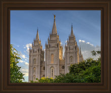 Load image into Gallery viewer, Salt Lake City Utah Temple In His Light
