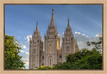 Load image into Gallery viewer, Salt Lake City Utah Temple In His Light Gallery Wrap
