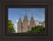 Load image into Gallery viewer, Salt Lake City Utah Temple In His Light
