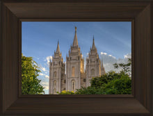 Load image into Gallery viewer, Salt Lake City Utah Temple In His Light
