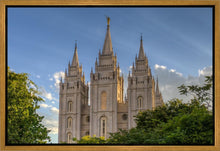 Load image into Gallery viewer, Salt Lake City Utah Temple In His Light Gallery Wrap
