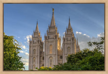 Load image into Gallery viewer, Salt Lake City Utah Temple In His Light Gallery Wrap
