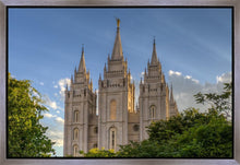 Load image into Gallery viewer, Salt Lake City Utah Temple In His Light Gallery Wrap
