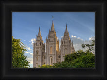 Load image into Gallery viewer, Salt Lake City Utah Temple In His Light
