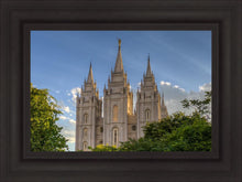 Load image into Gallery viewer, Salt Lake City Utah Temple In His Light
