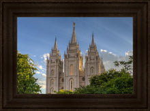 Load image into Gallery viewer, Salt Lake City Utah Temple In His Light
