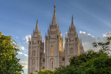 Load image into Gallery viewer, Salt Lake City Utah Temple In His Light Gallery Wrap
