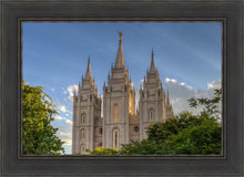 Load image into Gallery viewer, Salt Lake City Utah Temple In His Light
