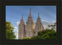 Load image into Gallery viewer, Salt Lake City Utah Temple In His Light
