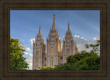 Load image into Gallery viewer, Salt Lake City Utah Temple In His Light
