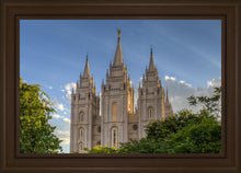 Load image into Gallery viewer, Salt Lake City Utah Temple In His Light
