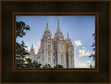 Load image into Gallery viewer, Salt Lake City Utah Temple Rays of Light
