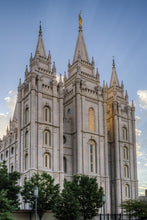 Load image into Gallery viewer, Salt Lake City Utah Temple Rays of Light Portrait
