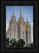 Load image into Gallery viewer, Salt Lake City Utah Temple Rays of Light Portrait
