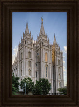 Load image into Gallery viewer, Salt Lake City Utah Temple Rays of Light Portrait
