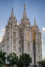 Load image into Gallery viewer, Salt Lake City Utah Temple Rays of Light Portrait Gallery Wrap
