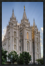 Load image into Gallery viewer, Salt Lake City Utah Temple Rays of Light Portrait Gallery Wrap
