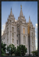 Load image into Gallery viewer, Salt Lake City Utah Temple Rays of Light Portrait Gallery Wrap
