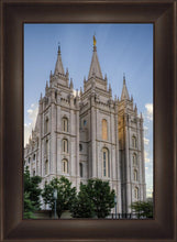 Load image into Gallery viewer, Salt Lake City Utah Temple Rays of Light Portrait
