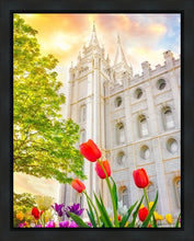 Load image into Gallery viewer, Salt Lake Spring Tulips
