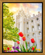 Load image into Gallery viewer, Salt Lake Spring Tulips
