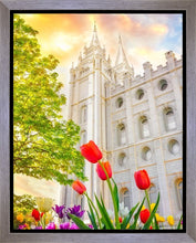 Load image into Gallery viewer, Salt Lake Spring Tulips
