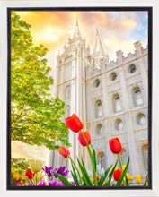 Load image into Gallery viewer, Salt Lake Spring Tulips
