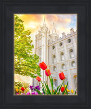 Load image into Gallery viewer, Salt Lake Spring Tulips
