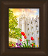 Load image into Gallery viewer, Salt Lake Spring Tulips
