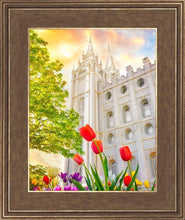 Load image into Gallery viewer, Salt Lake Spring Tulips
