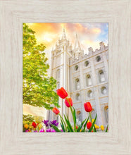 Load image into Gallery viewer, Salt Lake Spring Tulips
