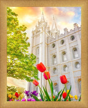 Load image into Gallery viewer, Salt Lake Spring Tulips
