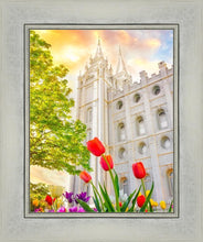Load image into Gallery viewer, Salt Lake Spring Tulips
