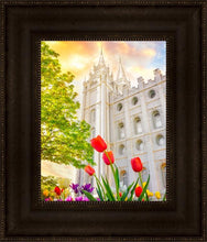 Load image into Gallery viewer, Salt Lake Spring Tulips
