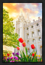 Load image into Gallery viewer, Salt Lake Spring Tulips
