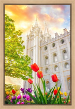 Load image into Gallery viewer, Salt Lake Spring Tulips

