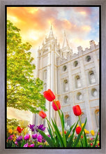 Load image into Gallery viewer, Salt Lake Spring Tulips
