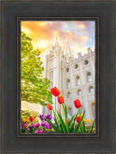 Load image into Gallery viewer, Salt Lake Spring Tulips
