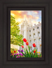 Load image into Gallery viewer, Salt Lake Spring Tulips
