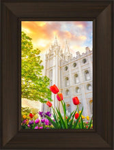 Load image into Gallery viewer, Salt Lake Spring Tulips
