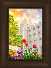 Load image into Gallery viewer, Salt Lake Spring Tulips
