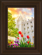 Load image into Gallery viewer, Salt Lake Spring Tulips
