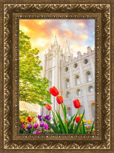 Load image into Gallery viewer, Salt Lake Spring Tulips
